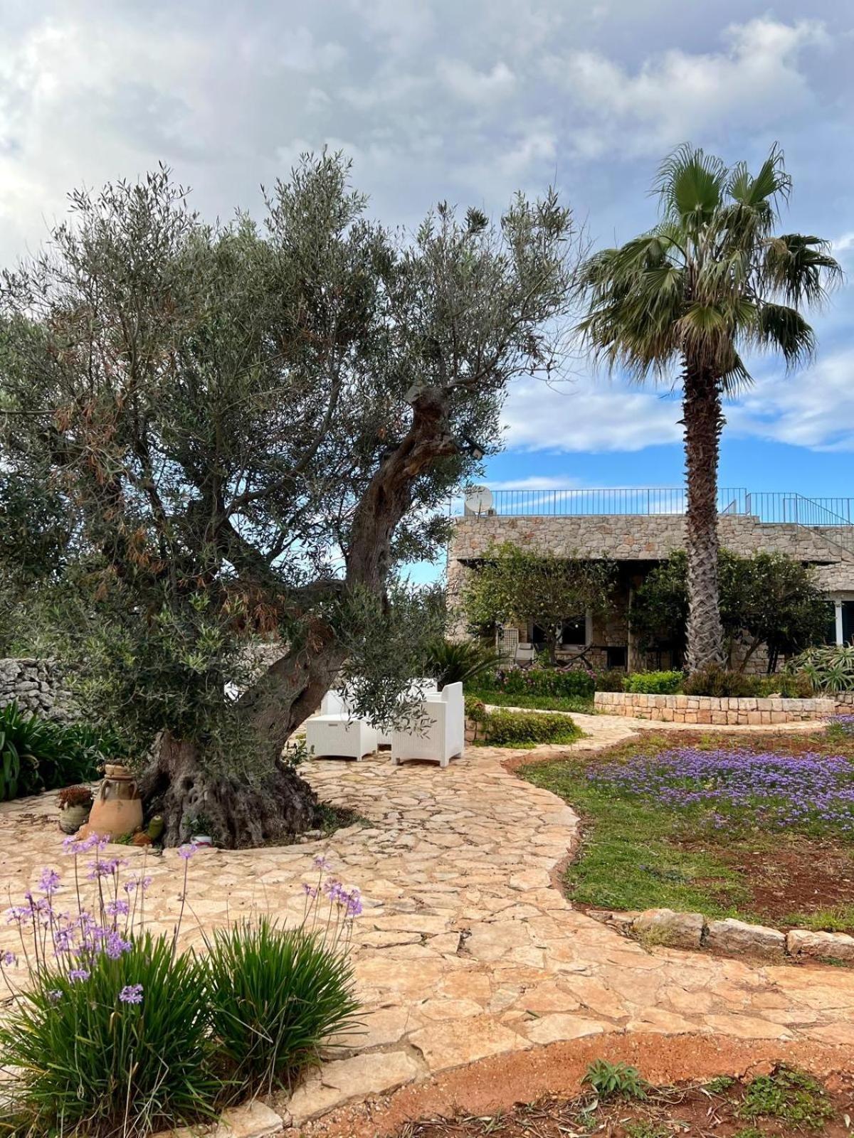 Magico Salento 1/2/3 Villa Torre Vado Exterior photo